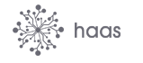 Haas & Schmidt Lighting logo